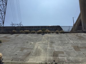The Amtrak Surfliner train passes right next to the river, and under the 6th Street Bridge.